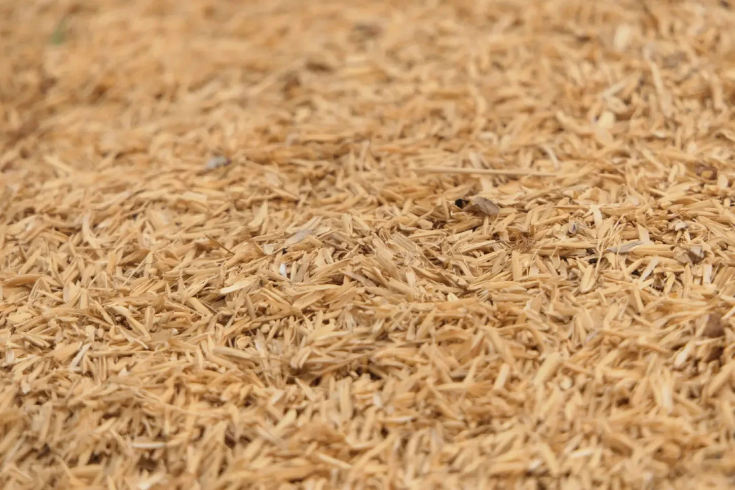 Biomass Fuel
